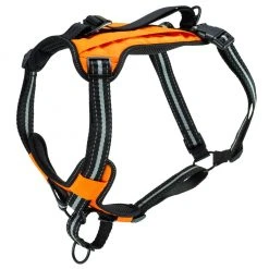 PetSafe Walk Along Reflective Outdoor Dog Harness, Large, Orange