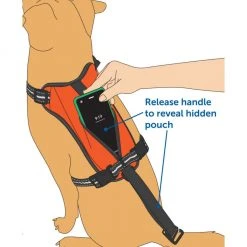 PetSafe Walk Along Reflective Outdoor Dog Harness, Large, Orange -PetSafe Sales Shop 1460316 A3