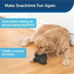 PetSafe Squeak 'N Treat Ninja Star Dog Chew Toy, Medium -PetSafe Sales Shop 1460326 A3