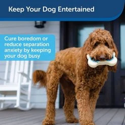 PetSafe Busy Buddy Forever Dog Toy Bone, Medium -PetSafe Sales Shop 1460331 A2