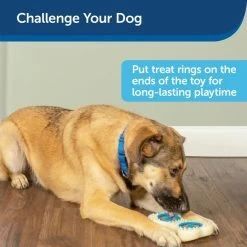 PetSafe Busy Buddy Forever Dog Toy Bone, Medium -PetSafe Sales Shop 1460331 A4