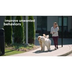 PetSafe 300 Yard Remote Spray Trainer for Dogs -PetSafe Sales Shop 1460335 VIDEO 1 480x270 1200k