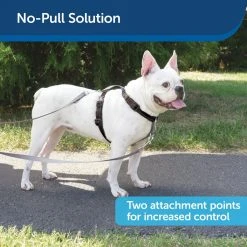 PetSafe 3-in-1 Reflective Dog Harness with 2-Point Control Leash -PetSafe Sales Shop 1530613 A4