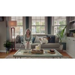 PetSafe Scoop-Free Self-Cleaning Cat Litter Box -PetSafe Sales Shop 1530619 VIDEO 2 480x270 1200k