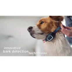 PetSafe Bark Control Dog Collar Spray Refill, Unscented Cartridges, 3 pk. 17 PetSafe Bark Control Dog Collar Spray Refill, Unscented Cartridges, 3 pk. -PetSafe Sales Shop 1592319 VIDEO 1 480x270 1200k