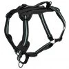 PetSafe Walk Along Reflective Outdoor Dog Harness -PetSafe Sales Shop 1592324