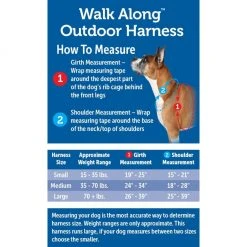 PetSafe Walk Along Reflective Outdoor Dog Harness 13 PetSafe Walk Along Reflective Outdoor Dog Harness -PetSafe Sales Shop 1592324 A5