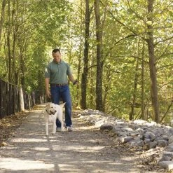 PetSafe Remote Dog Trainer Transmitter Hand Strap -PetSafe Sales Shop 1592381 A3