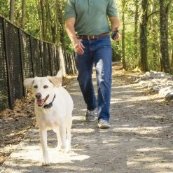 PetSafe Remote Dog Trainer Transmitter Hand Strap -PetSafe Sales Shop 1592381 A5