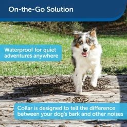 PetSafe Basic Bark Control Collar 10 PetSafe Basic Bark Control Collar -PetSafe Sales Shop 3608637 A2