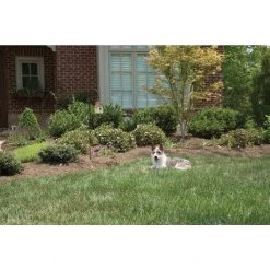 PetSafe 0.25 Acres Operating Range Outdoor Bark Control Device -PetSafe Sales Shop 3690147 A7