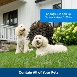 PetSafe Wireless Pet Containment System Receiver Collar -PetSafe Sales Shop 3691054 A3