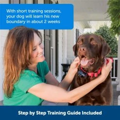 PetSafe Wireless Pet Containment System Receiver Collar -PetSafe Sales Shop 3691054 A4