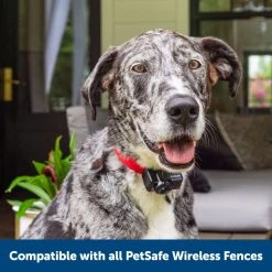 PetSafe Wireless Pet Containment System Receiver Collar -PetSafe Sales Shop 3691054 A6