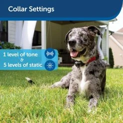PetSafe Ultralight Receiver Collar -PetSafe Sales Shop 3691169 A3