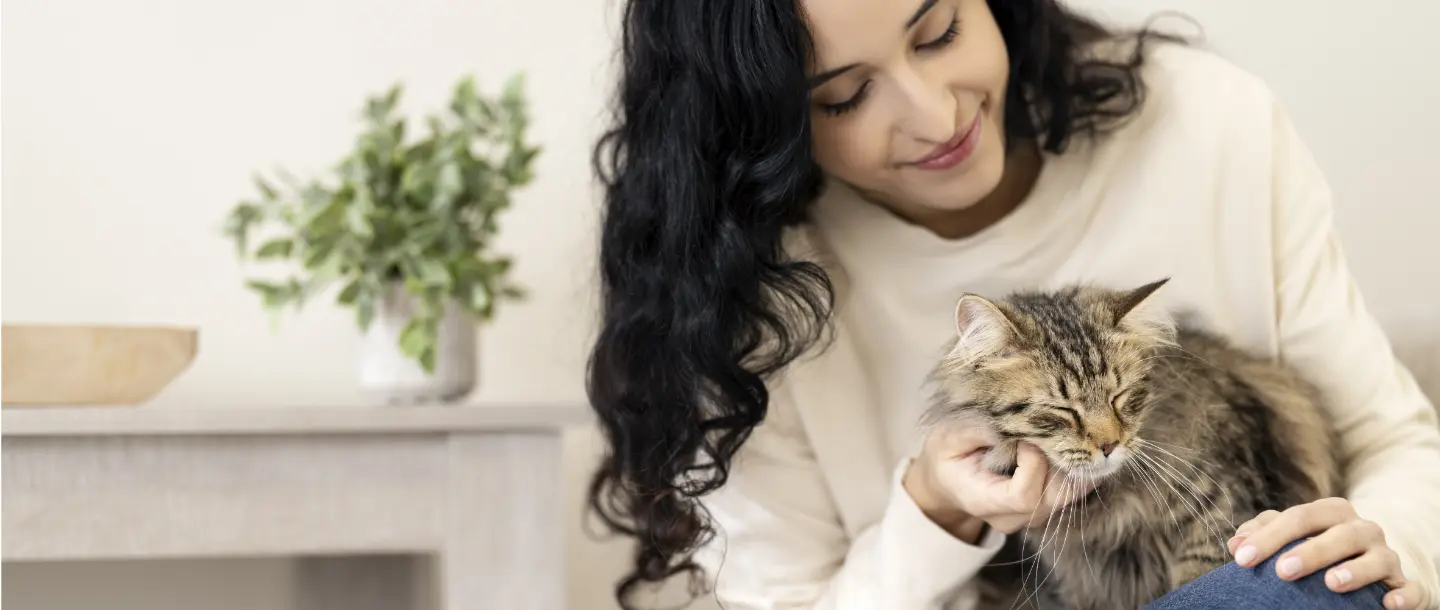 PetSafe Sales Shop -PetSafe Sales Shop f537d76ff00922dc1847fba80106b6d4889c344e 1440x610 1